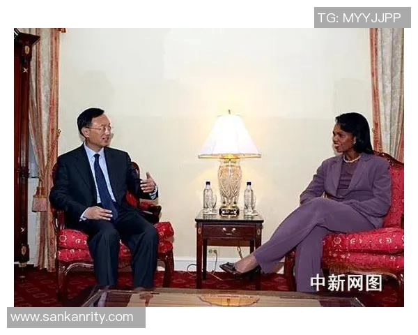 赖斯的外交智慧与全球战略布局探讨